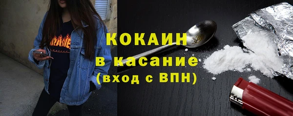 мяу мяу мука Аркадак