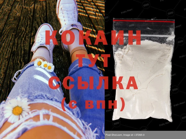 мяу мяу мука Аркадак