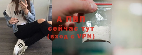 сатива Армянск