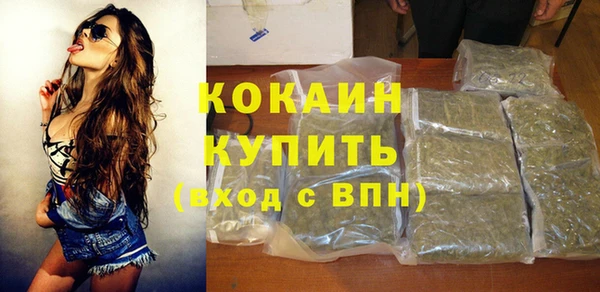 мяу мяу мука Аркадак