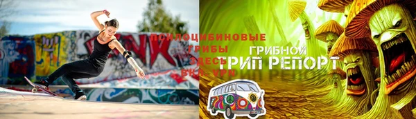 сатива Армянск